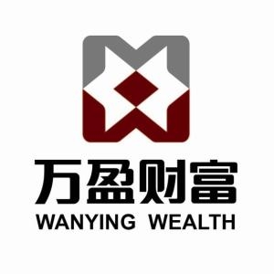 萬盈網(wǎng)絡(luò)技術(shù)股份有限公司